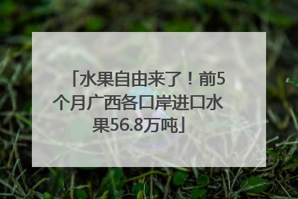 水果自由来了！前5个月广西各口岸进口水果56.8万吨