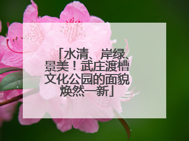 水清、岸绿、景美！武庄渡槽文化公园的面貌焕然一新