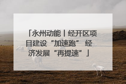 永州动能丨经开区项目建设“加速跑” 经济发展“再提速”