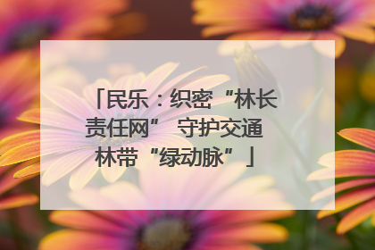 民乐：织密“林长责任网” 守护交通林带“绿动脉”