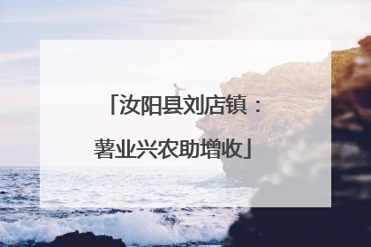 汝阳县刘店镇：薯业兴农助增收