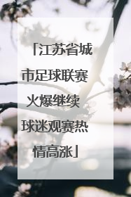 江苏省城市足球联赛火爆继续 球迷观赛热情高涨