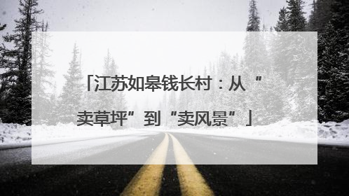 江苏如皋钱长村：从“卖草坪”到“卖风景”