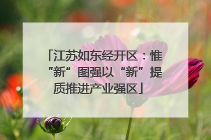 江苏如东经开区：惟“新”图强以“新”提质推进产业强区
