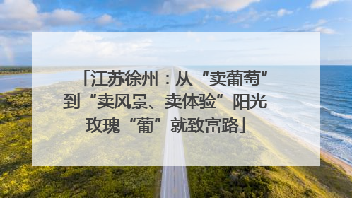 江苏徐州：从“卖葡萄”到“卖风景、卖体验”阳光玫瑰“葡”就致富路