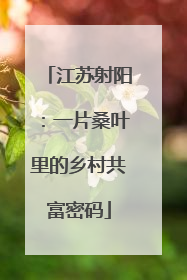 江苏射阳：一片桑叶里的乡村共富密码