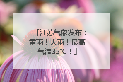 江苏气象发布：雷雨！大雨！最高气温35℃！
