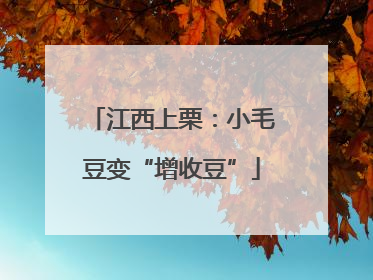 江西上栗：小毛豆变“增收豆”