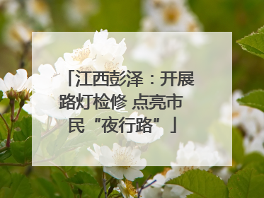 江西彭泽：开展路灯检修 点亮市民“夜行路”