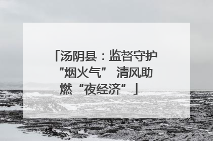 汤阴县：监督守护“烟火气” 清风助燃“夜经济”