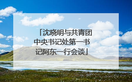 沈晓明与共青团中央书记处第一书记阿东一行会谈