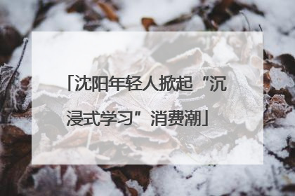 沈阳年轻人掀起“沉浸式学习”消费潮