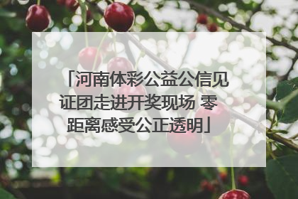 河南体彩公益公信见证团走进开奖现场 零距离感受公正透明