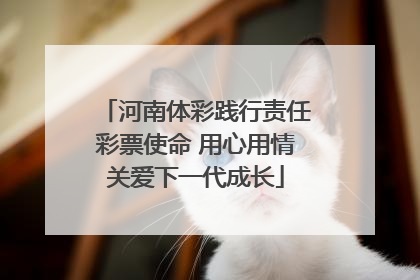 河南体彩践行责任彩票使命 用心用情关爱下一代成长