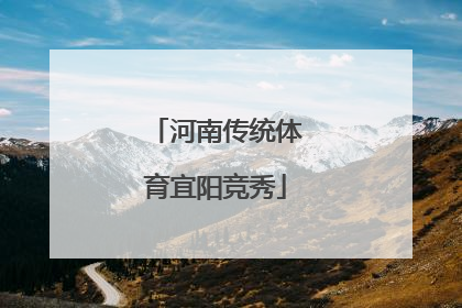 河南传统体育宜阳竞秀