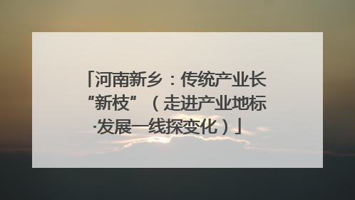 河南新乡：传统产业长“新枝”（走进产业地标·发展一线探变化）