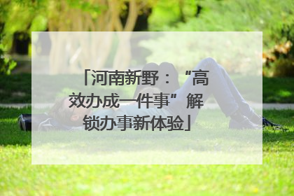 河南新野：“高效办成一件事”解锁办事新体验
