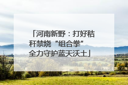 河南新野：打好秸秆禁烧“组合拳” 全力守护蓝天沃土