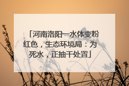 河南洛阳一水体变粉红色，生态环境局：为死水，正抽干处置