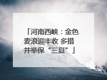 河南西峡：金色麦浪迎丰收 多措并举保“三夏”