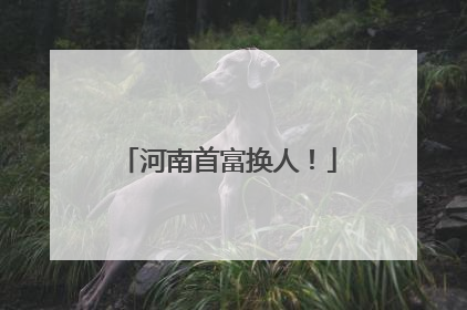 河南首富换人！