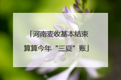 河南麦收基本结束 算算今年“三夏”账