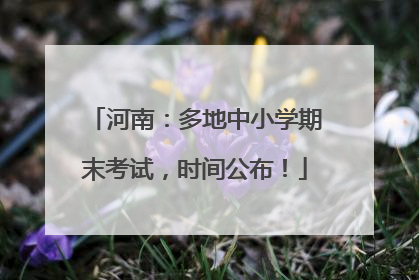 河南：多地中小学期末考试，时间公布！