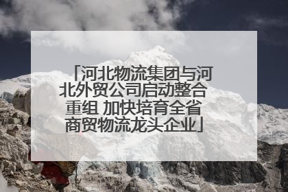 河北物流集团与河北外贸公司启动整合重组 加快培育全省商贸物流龙头企业