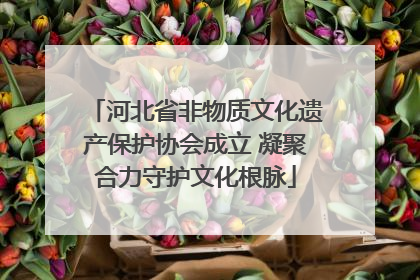 河北省非物质文化遗产保护协会成立 凝聚合力守护文化根脉