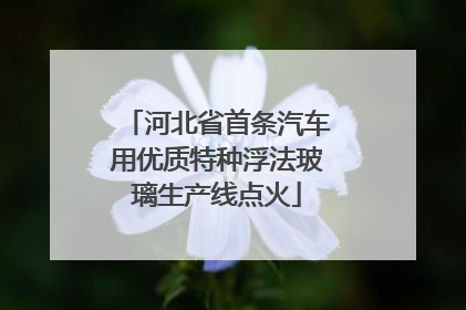 河北省首条汽车用优质特种浮法玻璃生产线点火