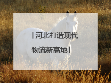 河北打造现代物流新高地