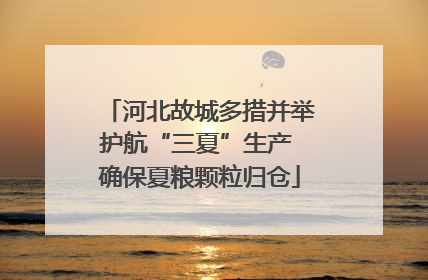 河北故城多措并举护航“三夏”生产 确保夏粮颗粒归仓