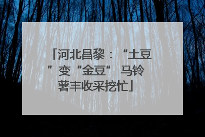 河北昌黎：“土豆”变“金豆” 马铃薯丰收采挖忙