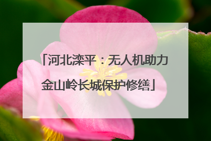 河北滦平：无人机助力金山岭长城保护修缮