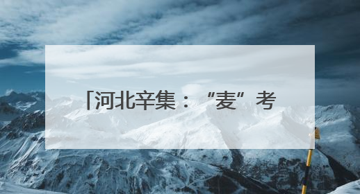 河北辛集：“麦”考生实收测产创新高