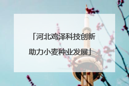 河北鸡泽科技创新助力小麦种业发展