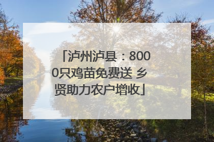 泸州泸县：8000只鸡苗免费送 乡贤助力农户增收