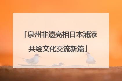 泉州非遗亮相日本浦添 共绘文化交流新篇