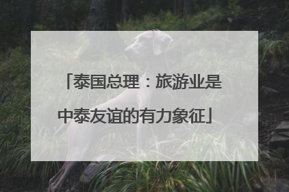 泰国总理：旅游业是中泰友谊的有力象征