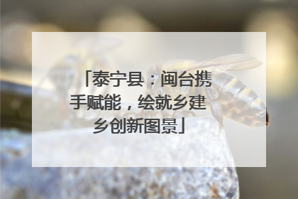 泰宁县：闽台携手赋能，绘就乡建乡创新图景