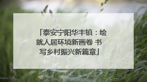 泰安宁阳华丰镇：绘就人居环境新画卷 书写乡村振兴新篇章
