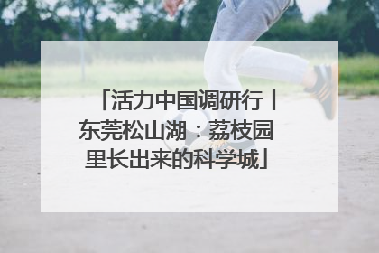 活力中国调研行丨东莞松山湖：荔枝园里长出来的科学城