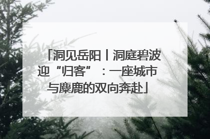 洞见岳阳丨洞庭碧波迎“归客”：一座城市与麋鹿的双向奔赴