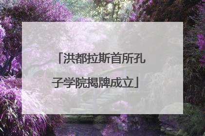 洪都拉斯首所孔子学院揭牌成立