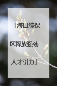 海口综保区释放强劲人才引力