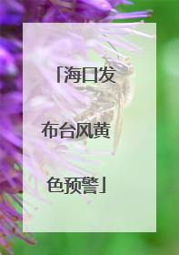 海口发布台风黄色预警