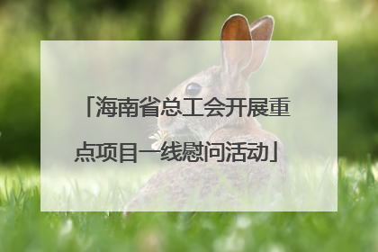 海南省总工会开展重点项目一线慰问活动