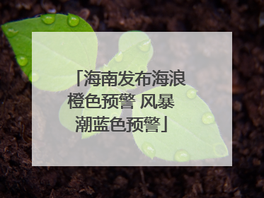 海南发布海浪橙色预警 风暴潮蓝色预警
