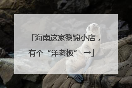 海南这家黎锦小店，有个“洋老板” →