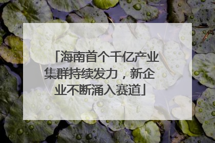 海南首个千亿产业集群持续发力，新企业不断涌入赛道